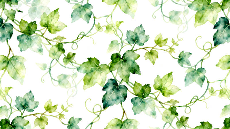 水彩绘制的绿色叶子藤蔓装饰图案-图片