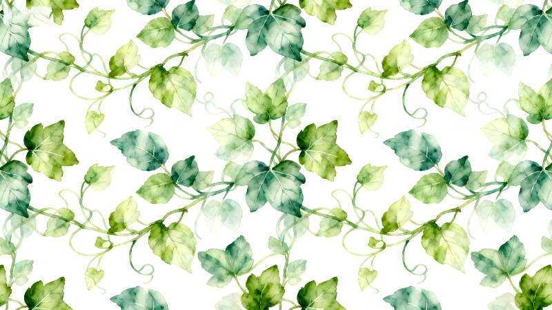 水彩绘制的常春藤叶子无缝图案-图片