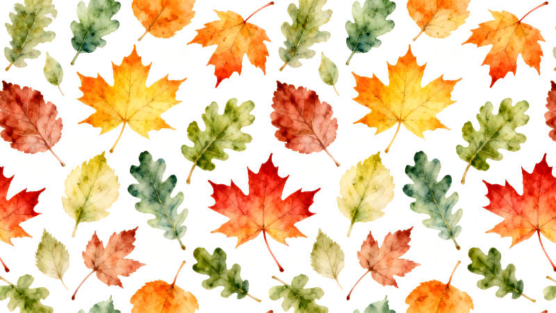 秋日落叶缤纷绚烂色彩斑斓清新自然-图片