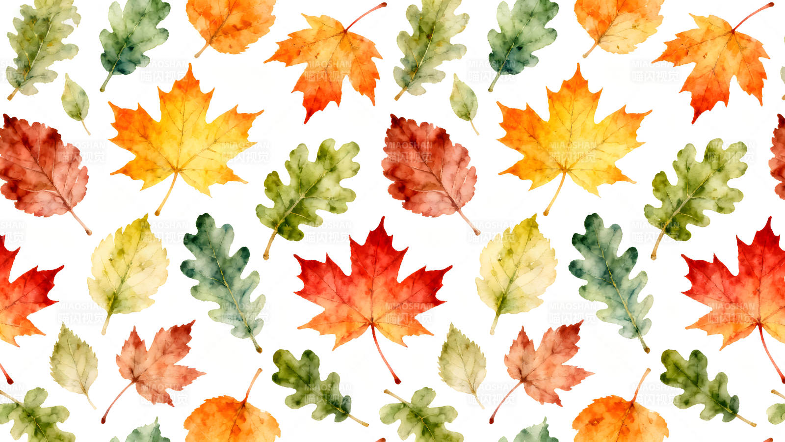 秋日落叶缤纷绚烂色彩斑斓清新自然-图片