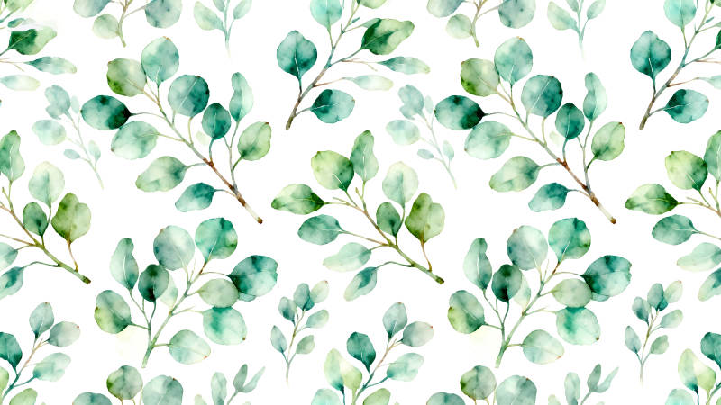 水彩桉树叶无缝背景-图片