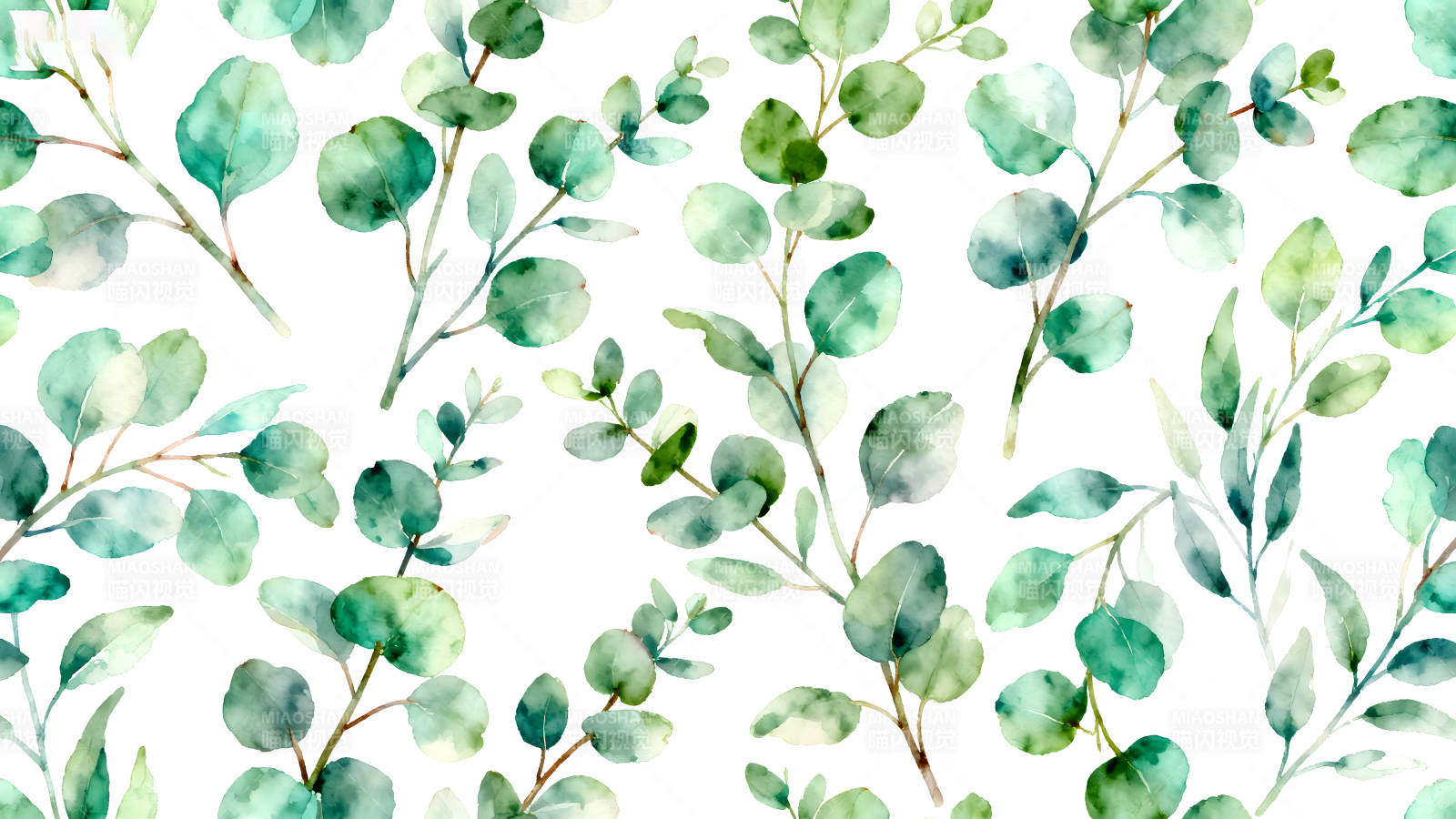 水彩风格的桉树叶图案图片