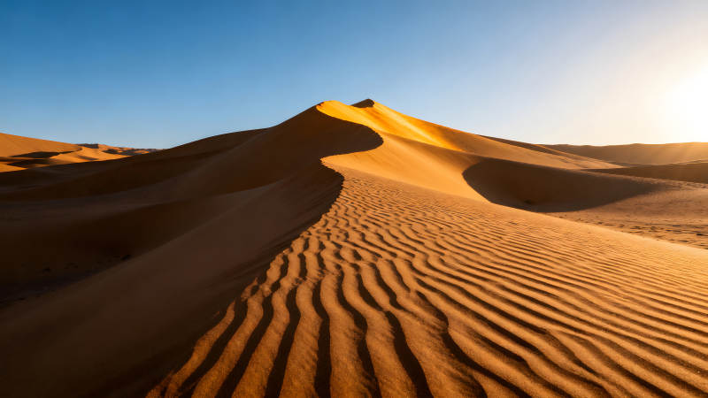 沙漠沙丘在陽光下熠熠生輝-圖片