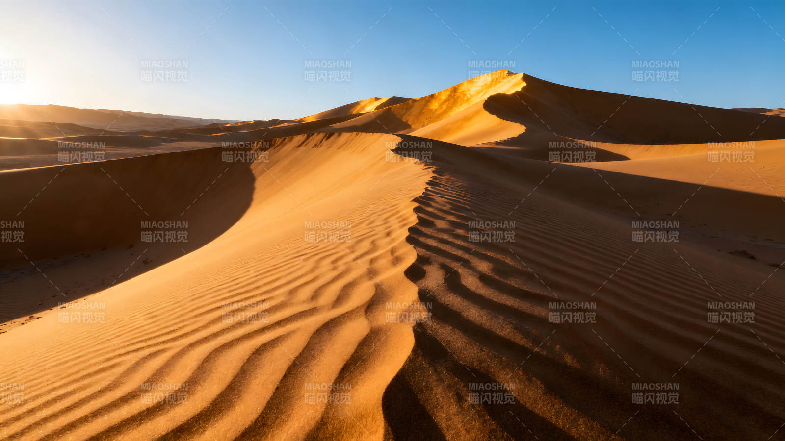 沙漠沙丘在陽光照射下呈現金黃色-圖片
