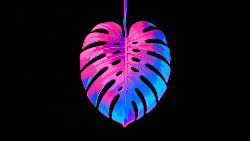 霓虹燈葉子在黑色背景下-圖片