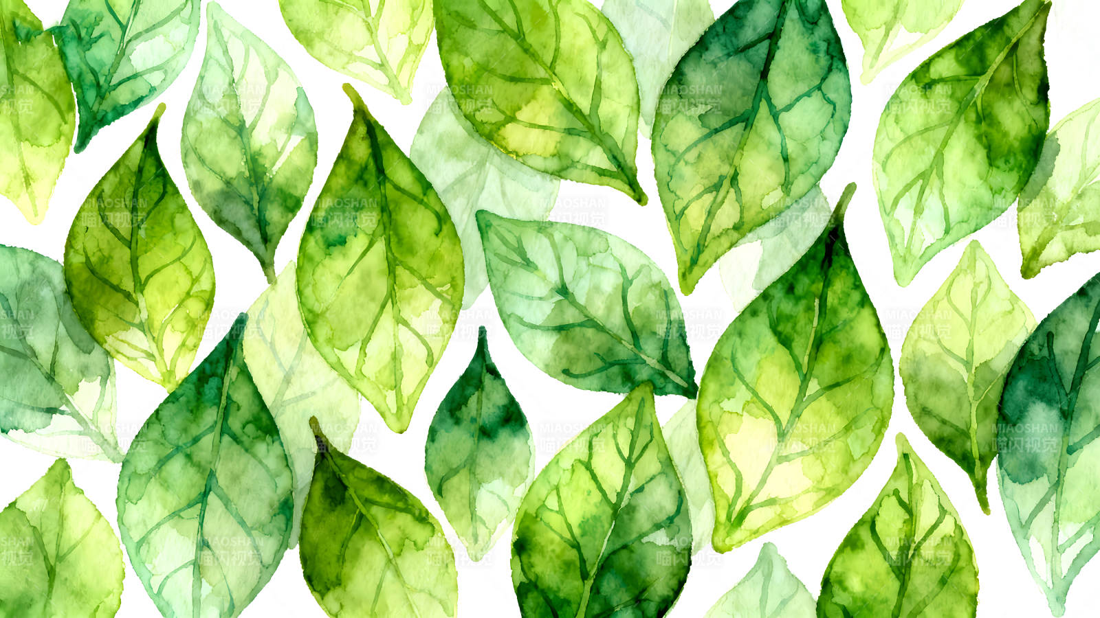 水彩绿叶清新背景装饰-图片