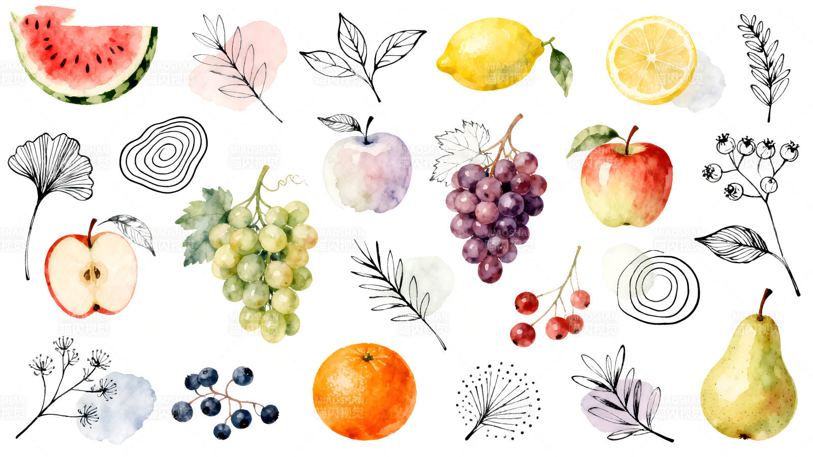 水彩水果和植物元素-图片