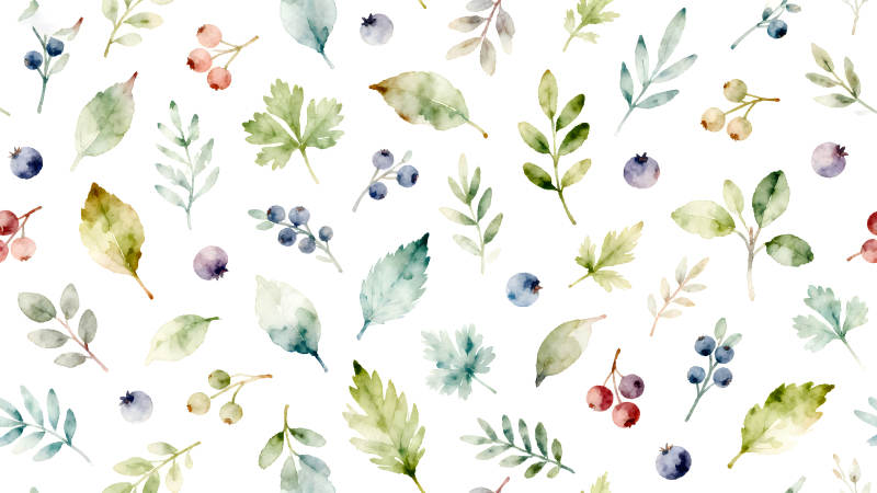 水彩植物图案-图片