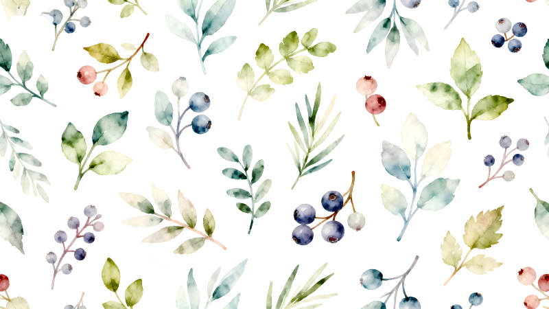 水彩叶子和浆果的白色背景-图片