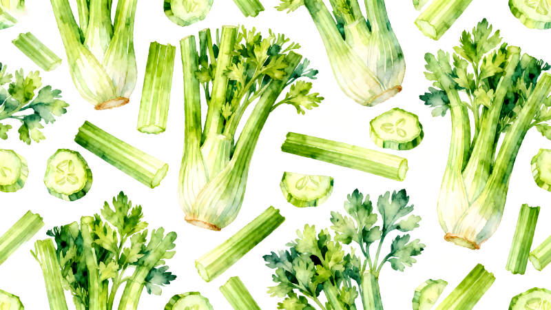 水彩风格芹菜图案-图片