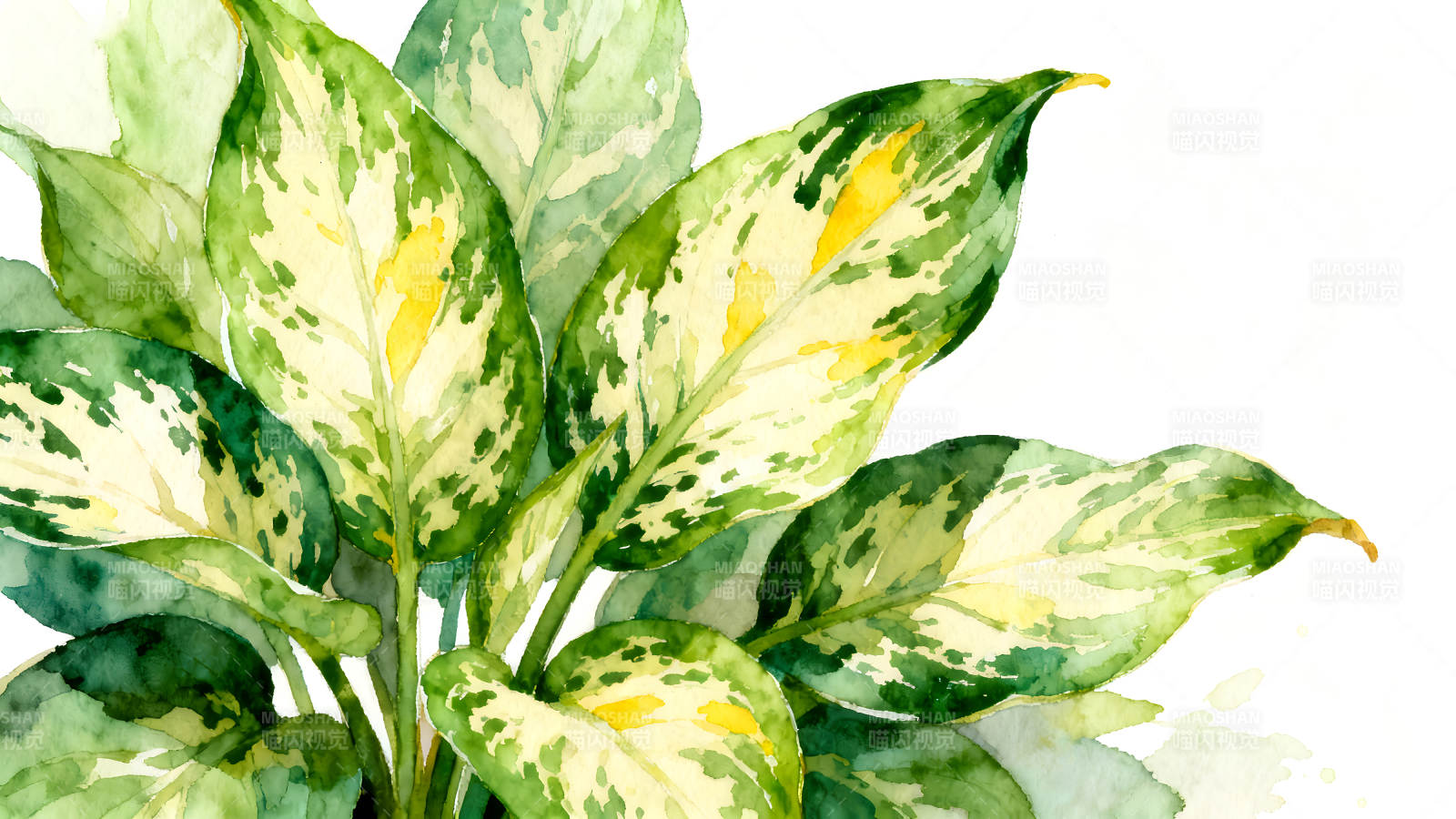 水彩植物绘画展现清新风格-图片