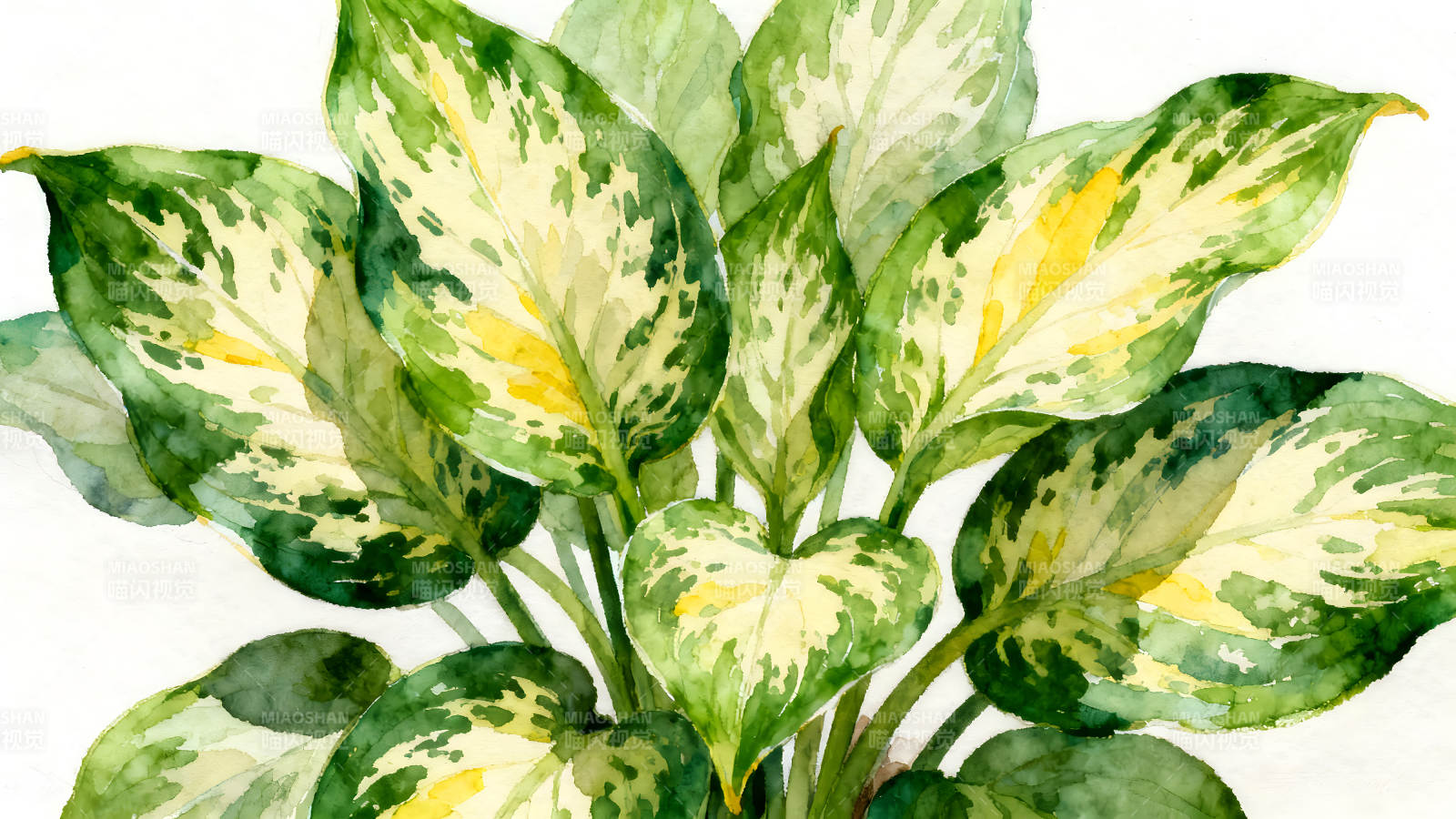 水彩风格绿植写意-图片