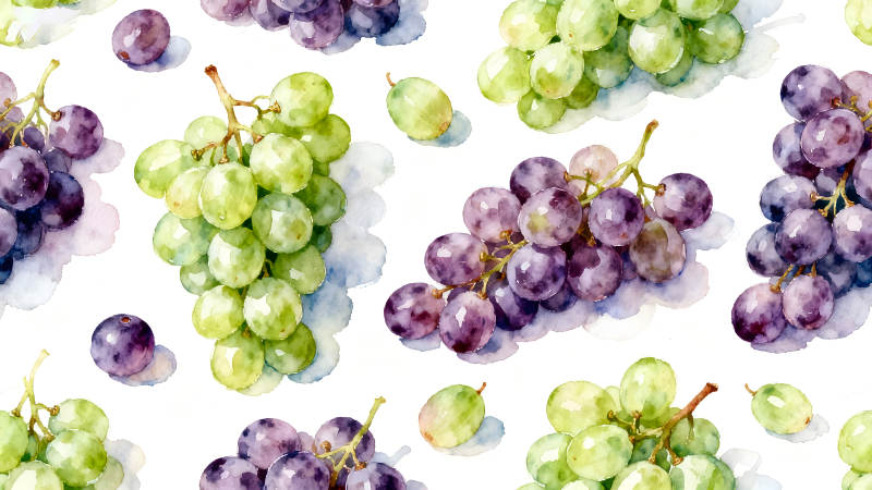 水彩葡萄图案图片
