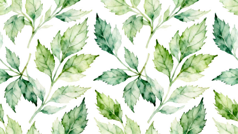 水彩风格的绿色叶子图案-图片