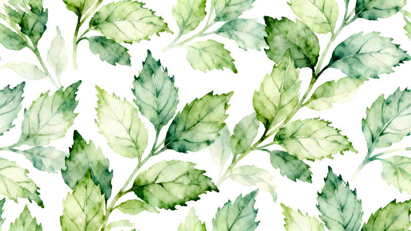 水彩绿叶背景图案-图片