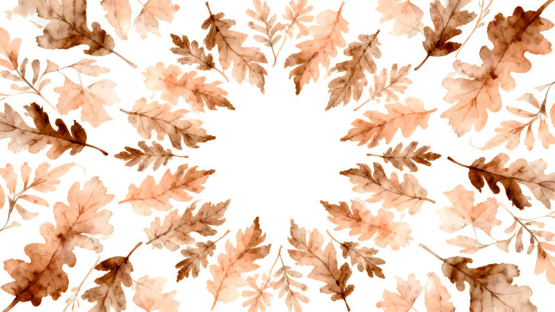 秋季落葉環(huán)繞的背景圖-圖片