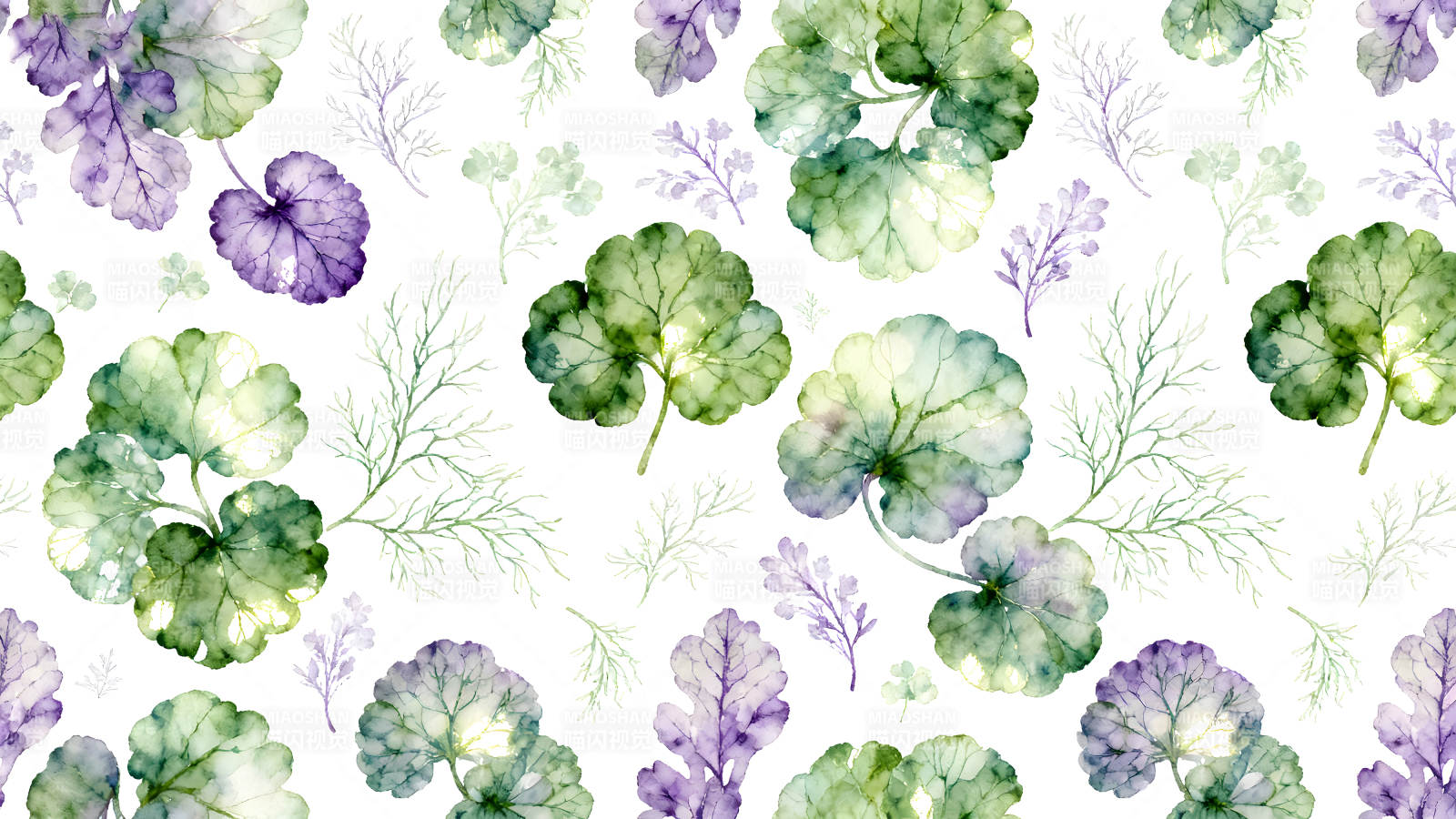 水彩植物圖案設計圖片