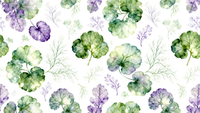 水彩植物图案设计-图片