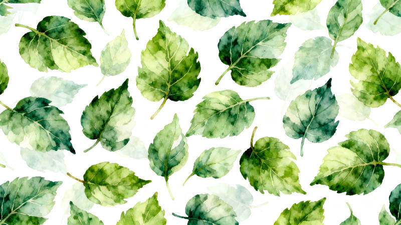 水彩叶子图案清新唯美-图片