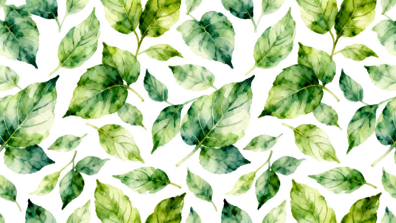 水彩画风绿叶图案-图片