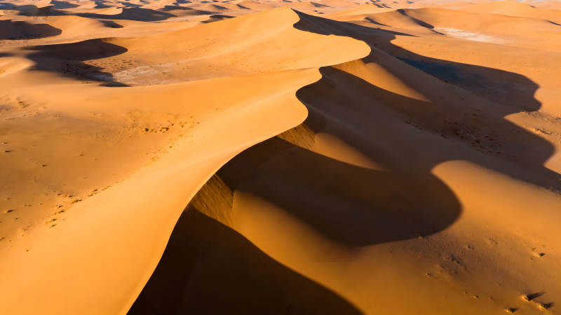 沙漠沙丘在陽光照射下的景象-圖片