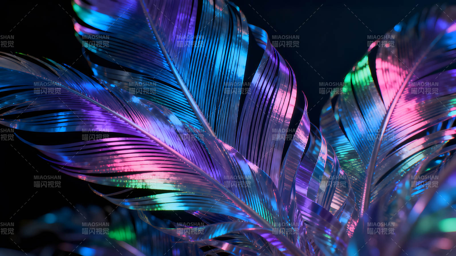 光彩夺目的羽毛特殊色彩-图片