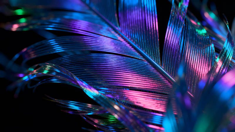 霓虹羽毛的特写光线下的奇幻纹理-图片