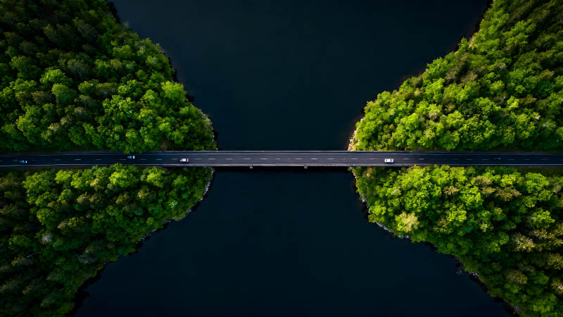 橋梁穿越森林連接著湖泊-圖片