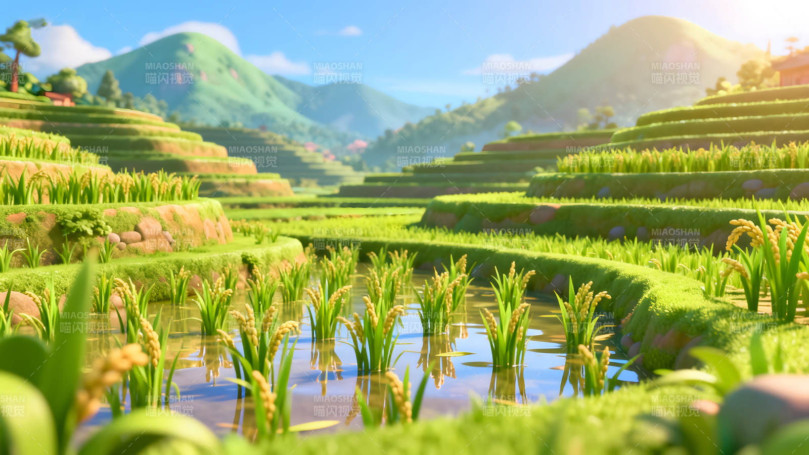 梯田风光稻谷丰收景象-图片