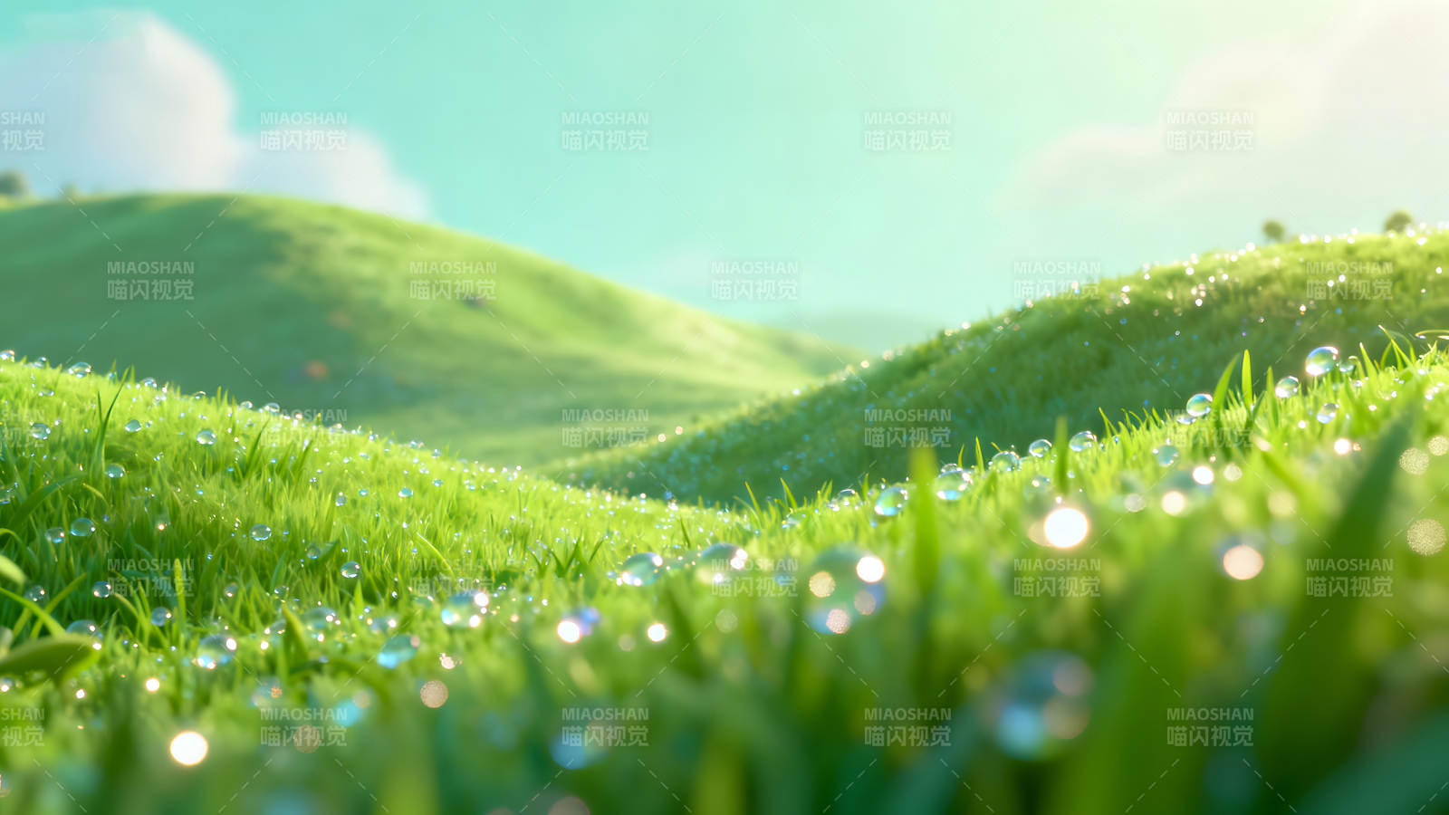 翠绿草地露珠清新风景图片