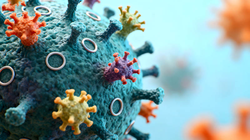 病毒結(jié)構(gòu)特寫展現(xiàn)生命奧秘-圖片