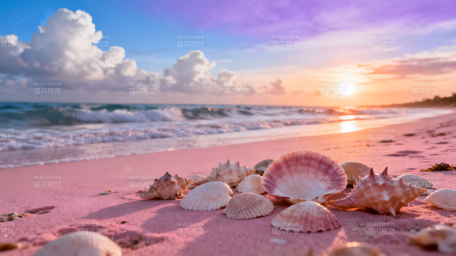 粉色沙灘貝殼夕陽美景-圖片