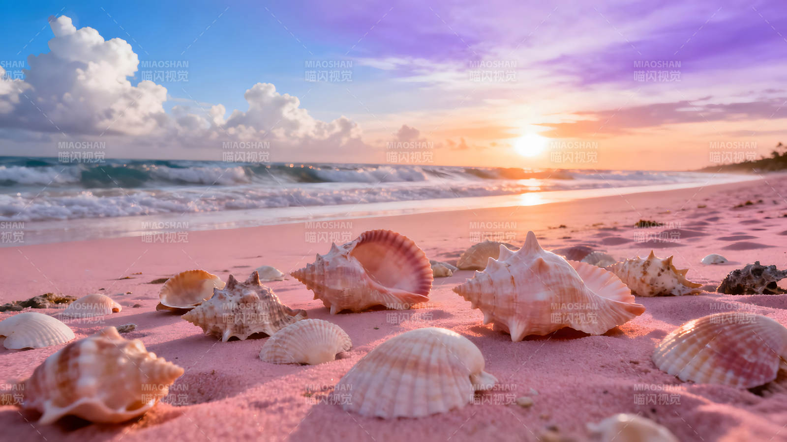 粉色沙灘貝殼日落美景-圖片