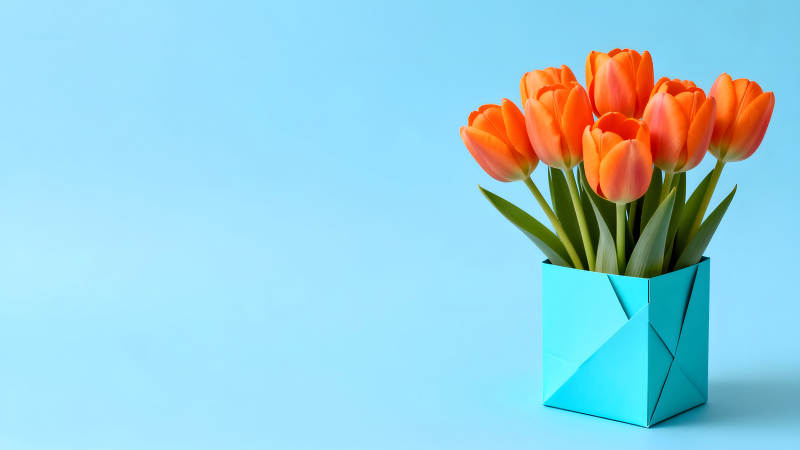 橙色郁金香插花藍色背景簡約風格-圖片