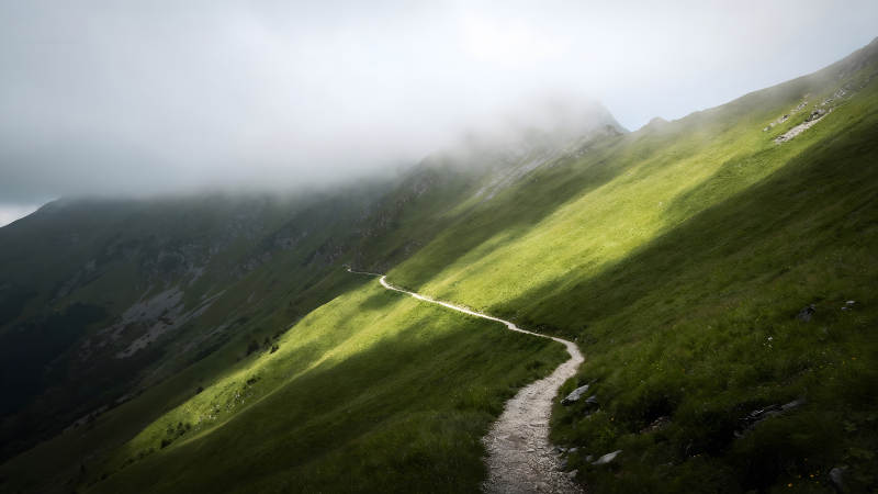 山間小徑云霧繚繞光影交錯-圖片