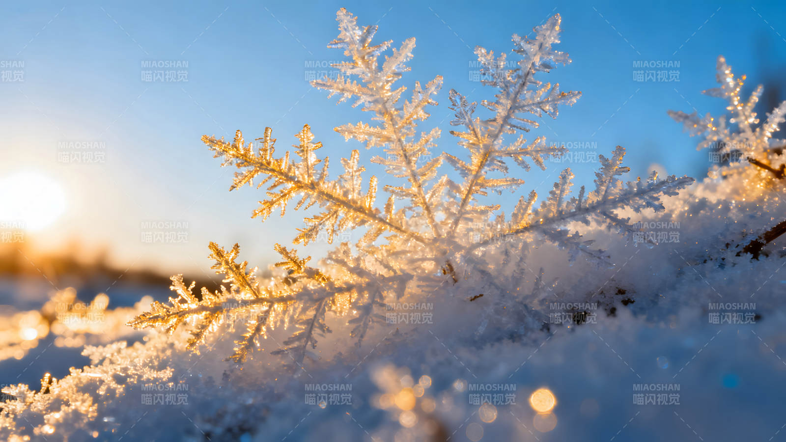 阳光下的雪花特写镜头晶莹剔透图片