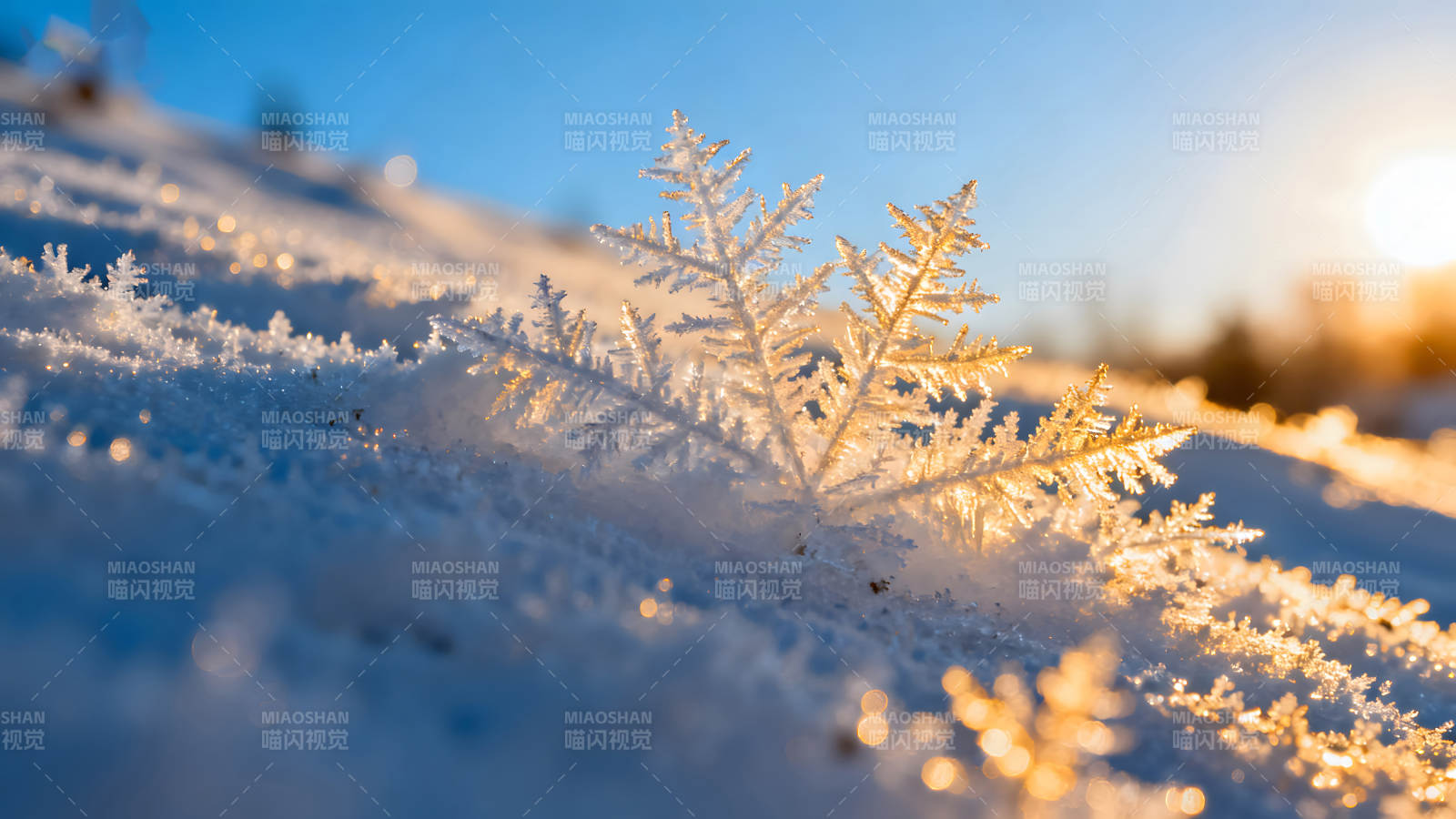 雪花晶瑩剔透陽光照射-圖片
