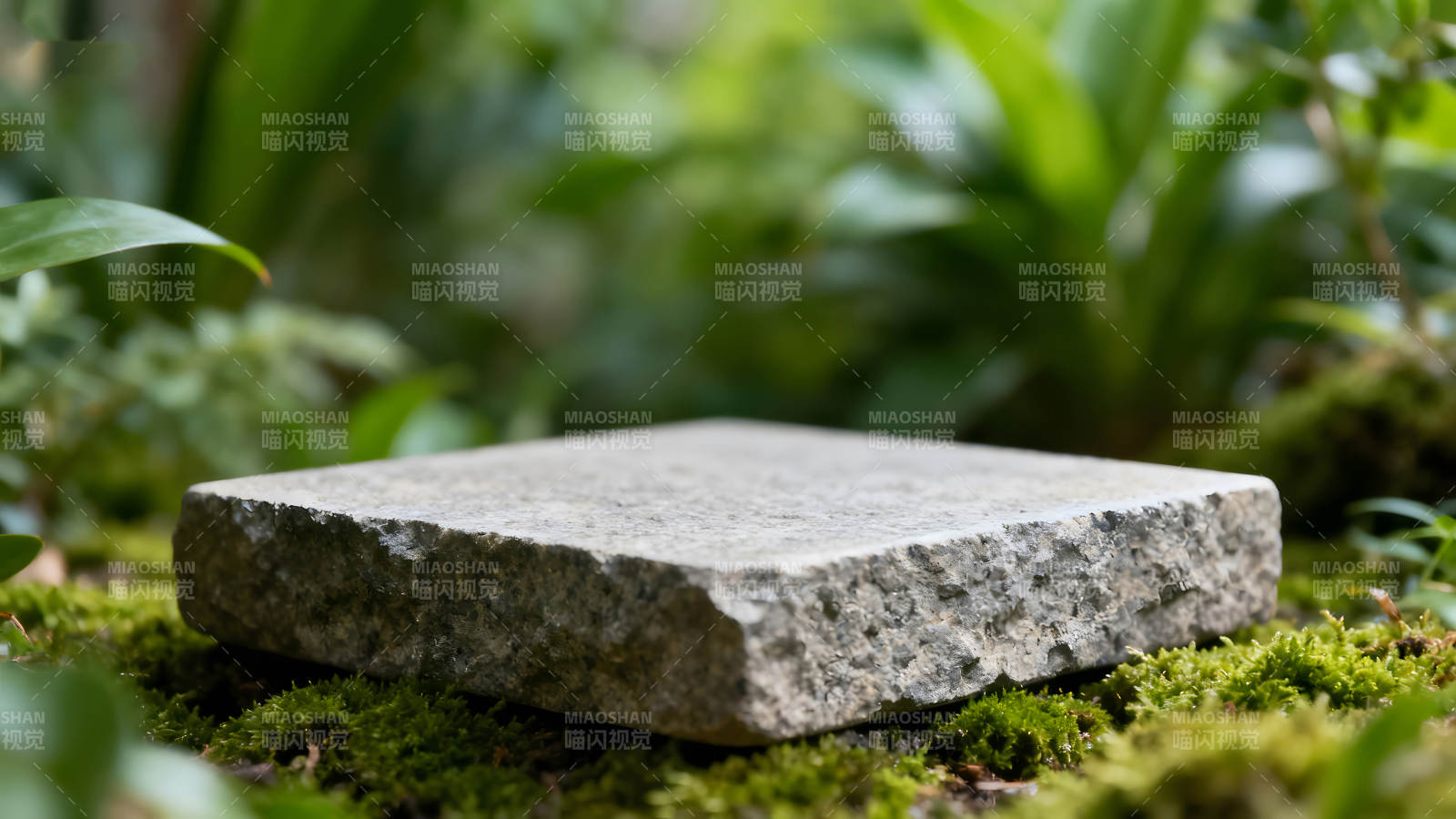 石板置于青苔之中背景是绿植-图片