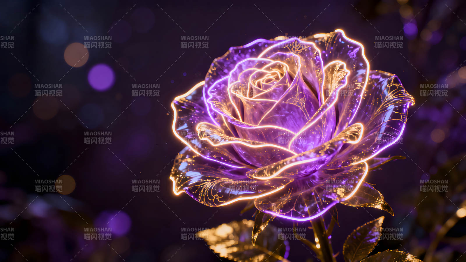 发光玫瑰梦幻紫色-图片