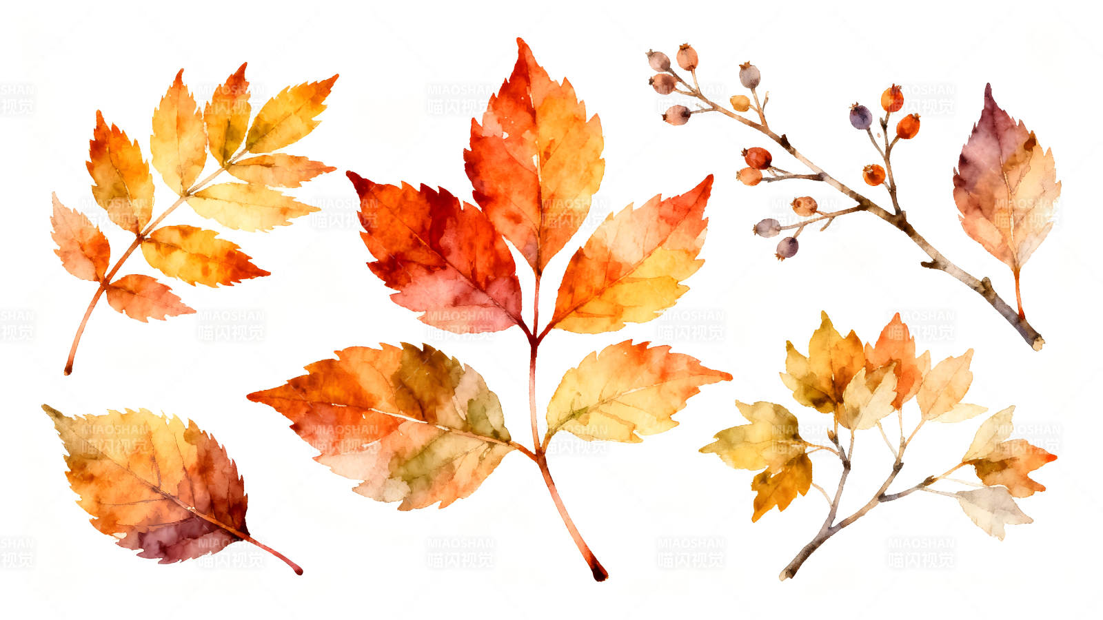 秋日水彩叶片装饰图片