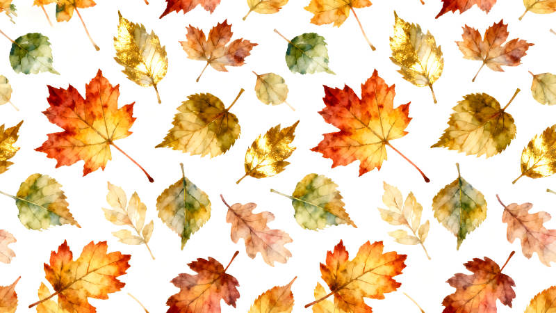 秋日落叶背景图案-图片