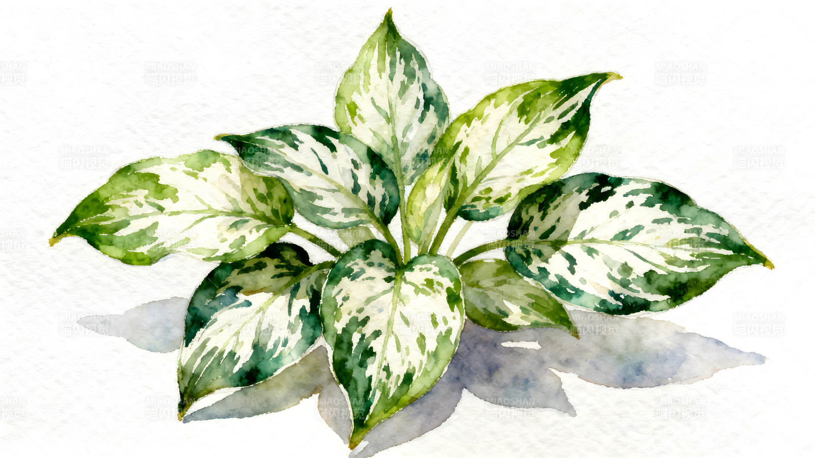 水彩植物绿叶绽放-图片