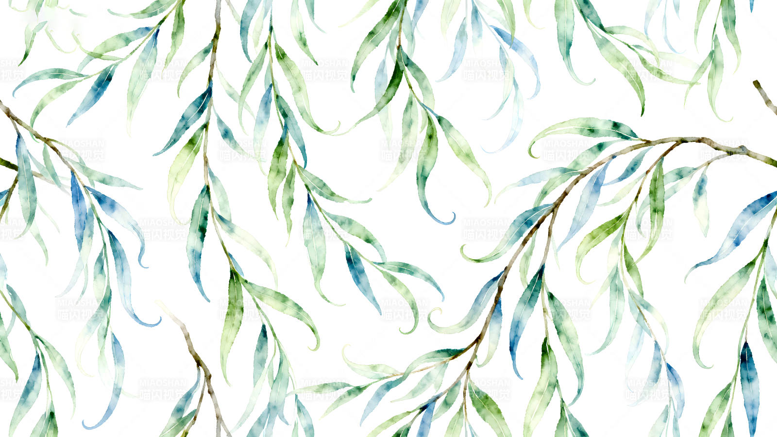 水彩柳叶枝条图案-图片