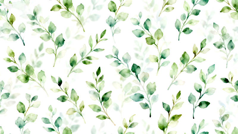 水彩绿色叶子在白色背景上-图片