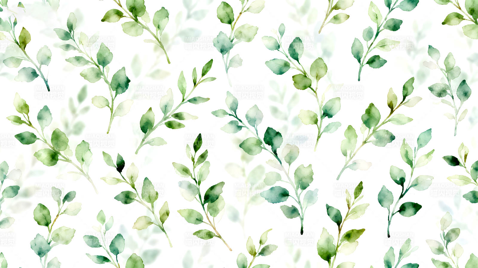 水彩绿色叶子在白色背景上-图片