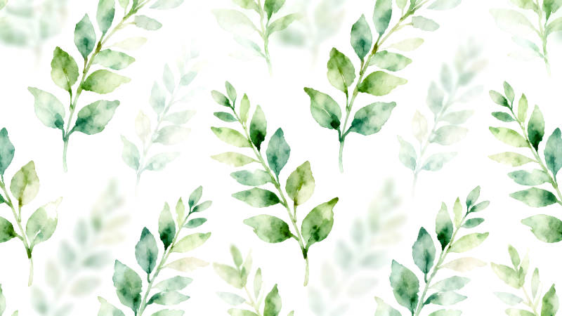 水彩叶子清新背景图-图片