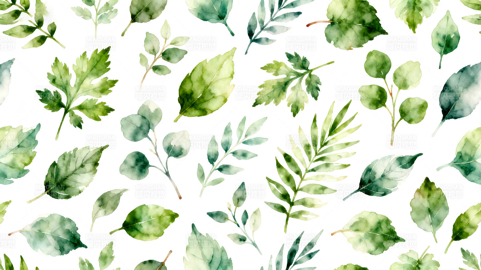 水彩风格的绿色植物叶片图案-图片
