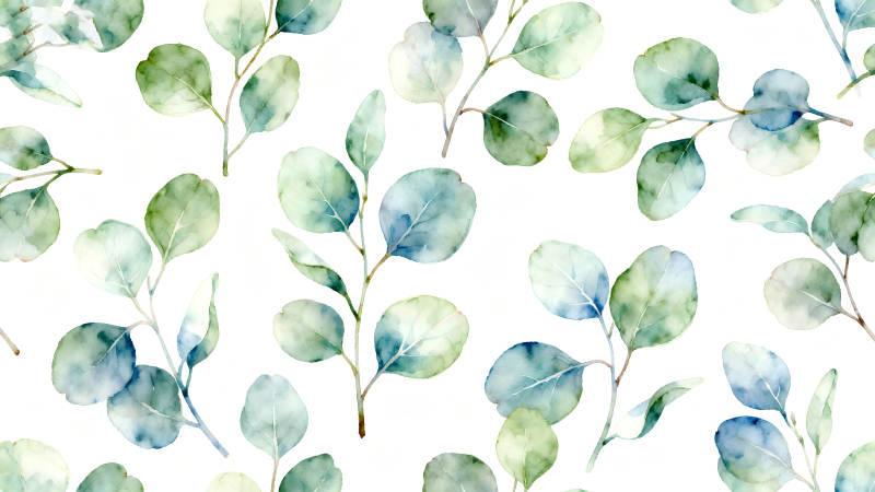 水彩桉树叶图案清新优雅-图片
