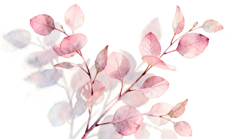 粉色叶子水彩画清新柔和-图片