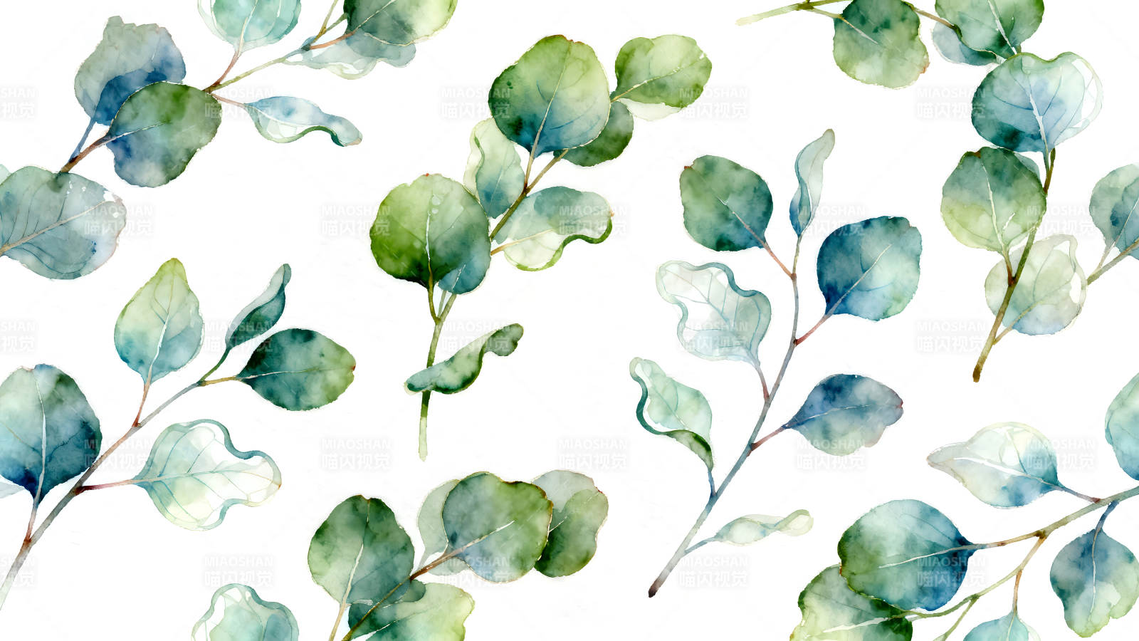 水彩桉树叶图案-图片
